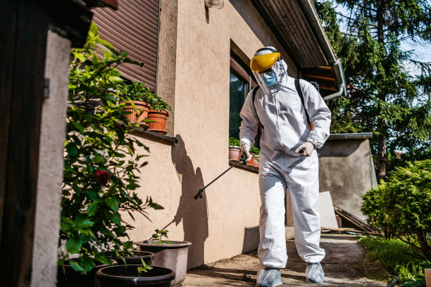 Best Termite Control Services  in Bellflower, CA